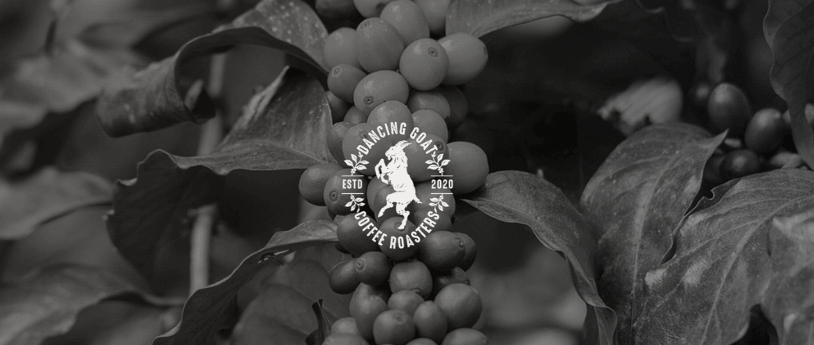 Every Cup Tells a Story — Here’s Ours