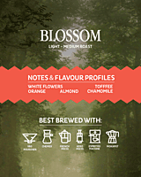 Blossom Blossom